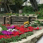 Farm stay Pane