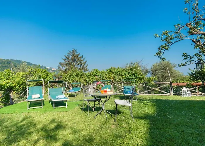 Pane * Σορέντο