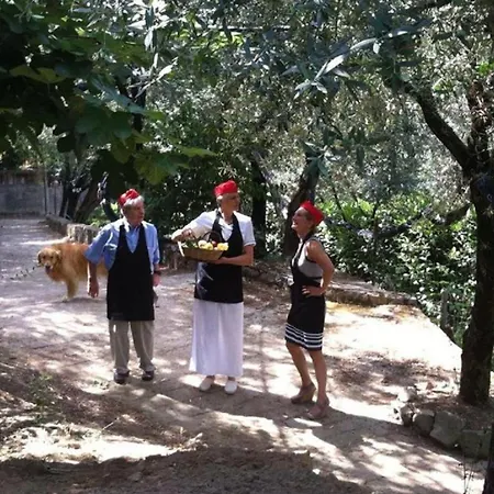 Pane Sorrento