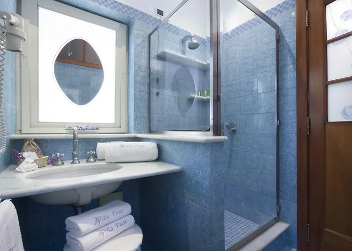 בית חווה Pane *